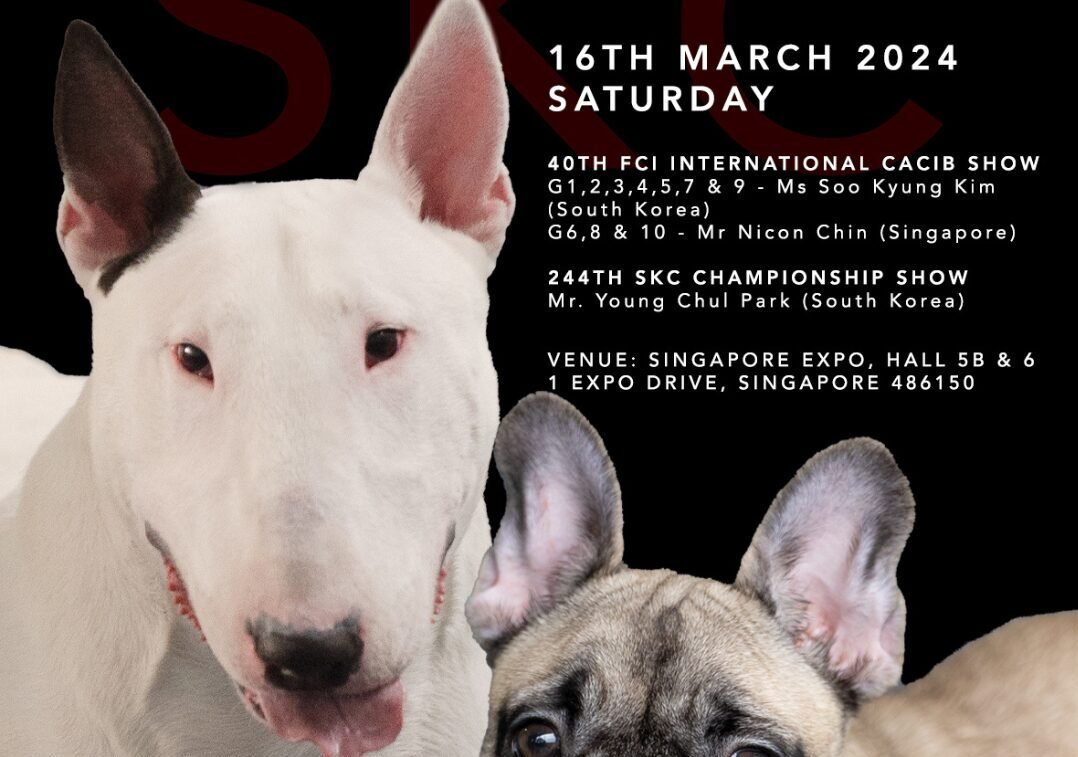 SKC Championship Show & FCI International CACIB Dog Show
